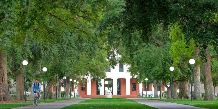 UC Davis
