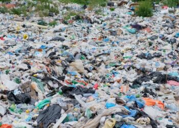 Concejo de Oceanside amplía la prohibición de bolsas de plástico de un solo uso