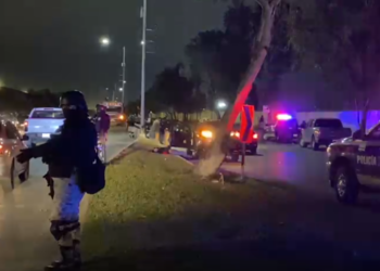 Librado Álvarez Vizcaíno