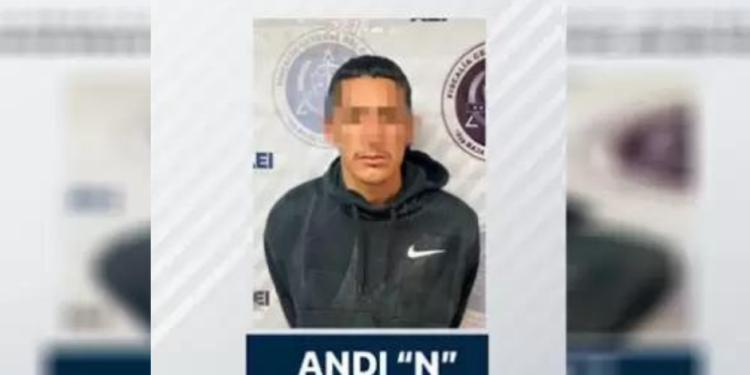 Andi 'N'