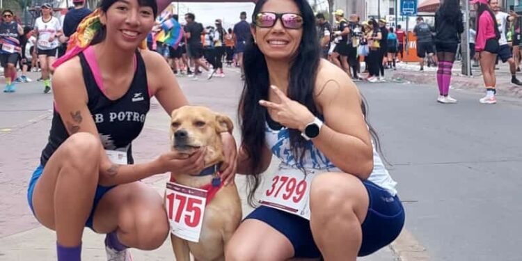 El Chicles: El perrito Runner de Tijuana