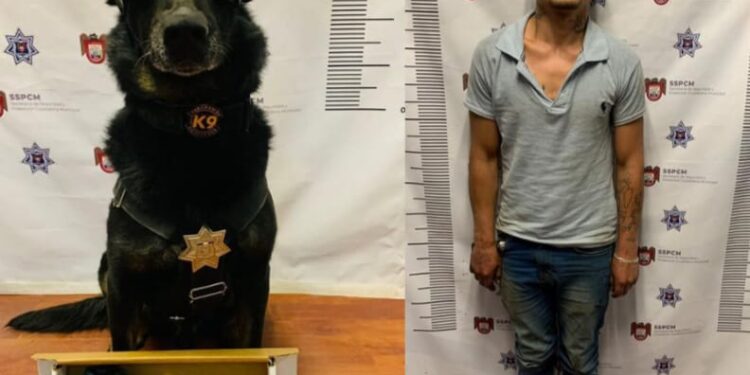 K9 detiene a sospechoso armado