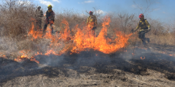 Bomberos locales se preparan para combatir incendios forestales