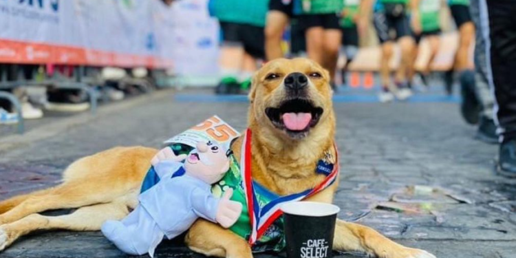 ‘El Chicles’ gana primer lugar en carrera en Guadalajara