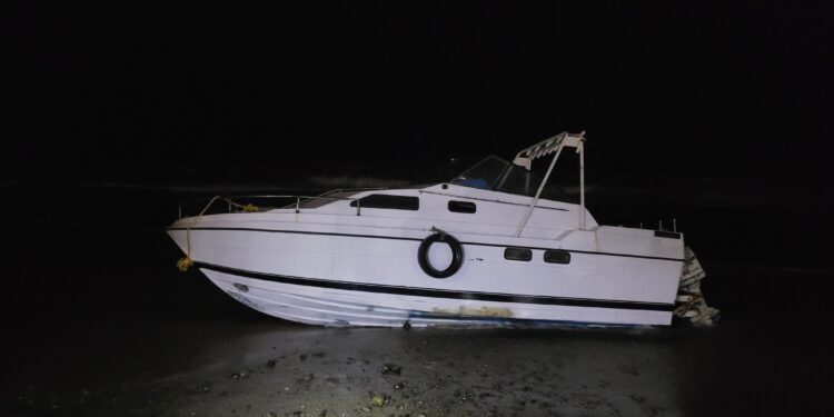 Patrulla fronteriza arresta a 7 migrantes entrando ilegalmente a EE.UU