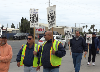 Servicio de Autobuses de MTS lleva ya un mes paralizado, Transdev no logra negociaciones