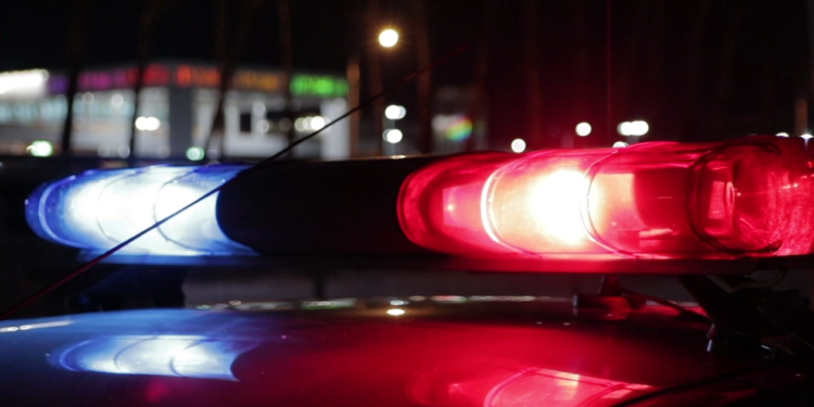 Encarcelan a mamá por la muerte de sus dos hijos en accidente en Vista Freeway