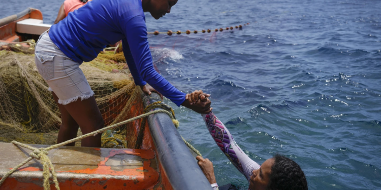 Mujeres toman plaza en barcos pesqueros del Caribe de Venezuela