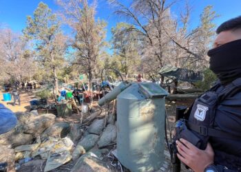 Localizan plantío de marihuana en La Rumorosa