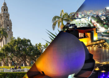 World Design Organization