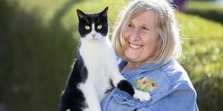 Zebby el gato de apoyo