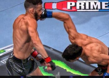 Bajacalifornianos en UFC 290
