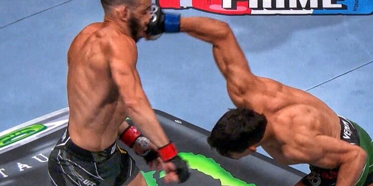 Bajacalifornianos en UFC 290