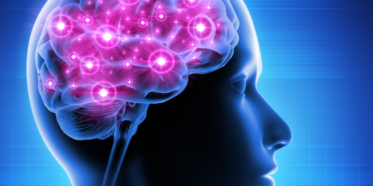 Cerebro