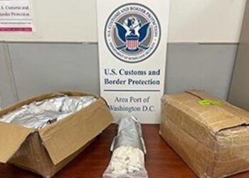 Agentes de aduanas de EE. UU. incautan 70 libras de una nueva versión de la droga ‘sales de baño’