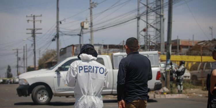 Oficial perito frente a camioneta blanca