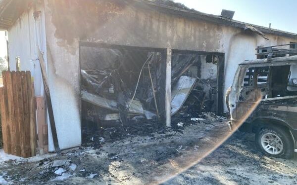 Muere perrito en Lemon Grove tras incendio provocado.