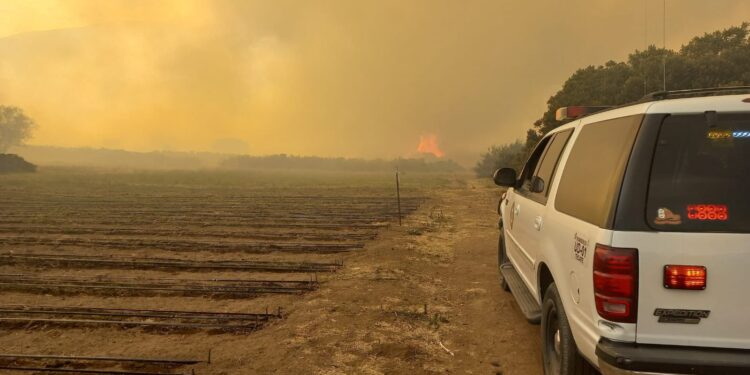Incendio en Tecate