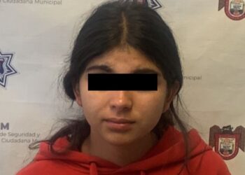 Jovecinta de 19 años acusada de asalto
