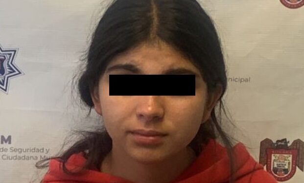 Jovecinta de 19 años acusada de asalto