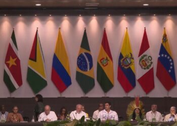 Países del Amazonas hacen conferencia para atender asuntos climáticos y deforestación