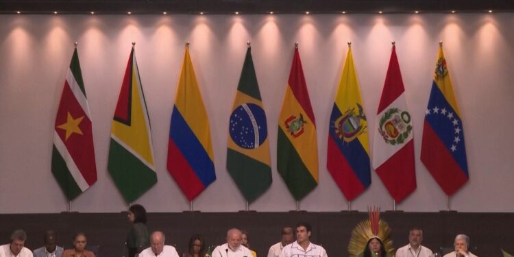Países del Amazonas hacen conferencia para atender asuntos climáticos y deforestación