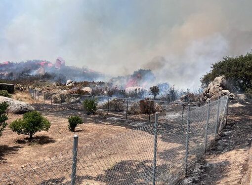 Incendio Forestar "Coyote" avanza a 466 acres