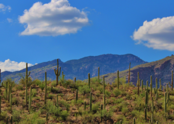 Excursionista de San Diego encontrado muerto en Tucson durante condiciones de calor extremo