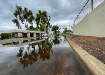 El paso de la tormenta tropical Hilary en San Diego en redes sociales
