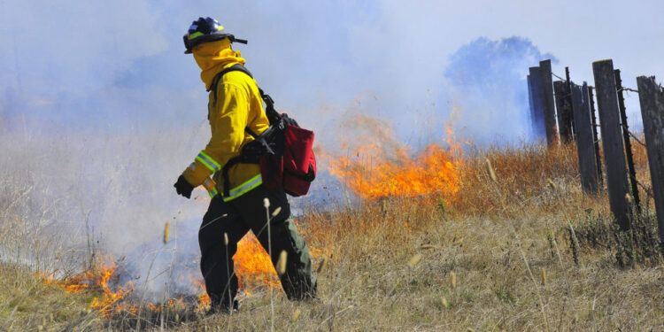 Bonsall registra incendios, cierran parcialmente la carretera I-15