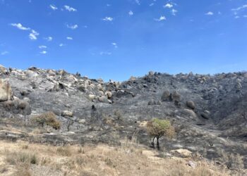 Incendio "Coyote" controlado al 100%.