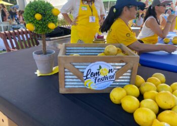 Regresa Festival del Limón a Chula Vista