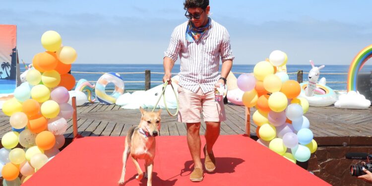 Realizan pasarela de perros en Tijuana