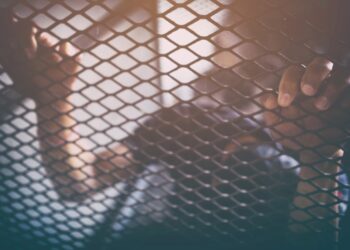 Estudiantes desde preescolar hasta el grado 12 recibirán educación sobre trata de personas