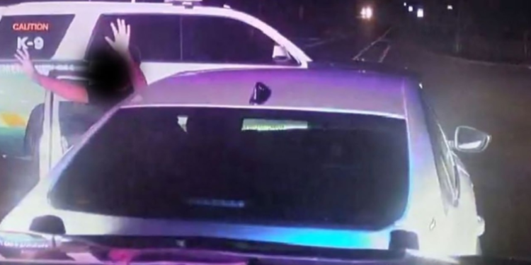 Niños robaron carro a su madre y condujeron 300 kilómetros en Florida