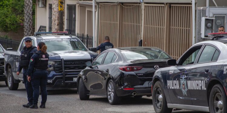 Ciudadano estadounidense descubre un caso de ‘mula ciega’