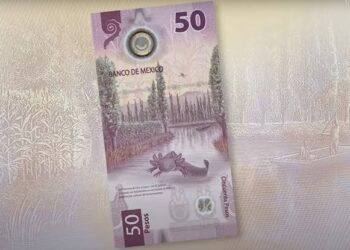 Alertan sobre el incremento de billetes falsos de 50 pesos con la imagen del ajolote