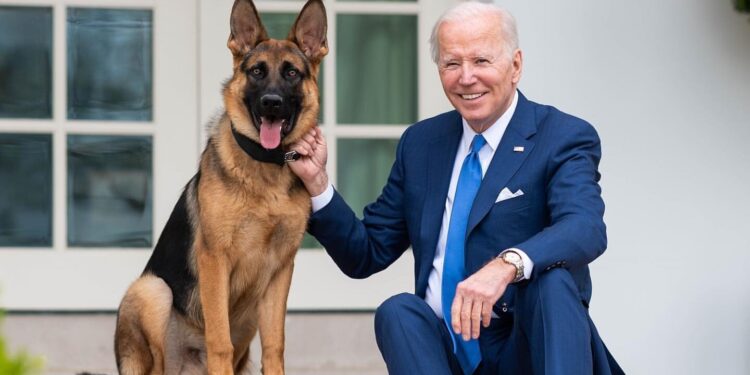 Joe Biden y Commander