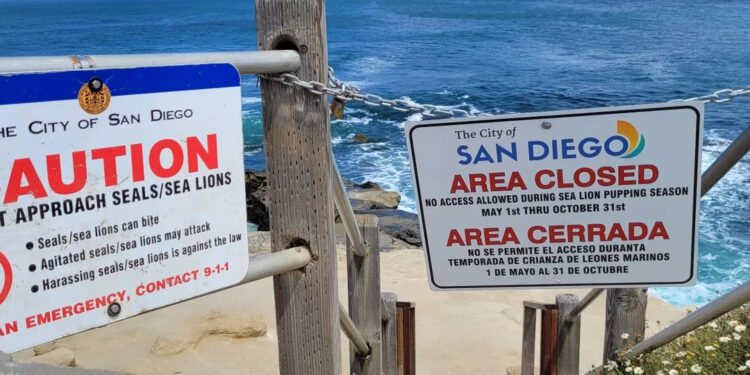 La ciudad de San Diego vota sobre cierre a largo plazo de Point La Jolla