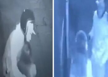 Detienen al presunto asaltante y agresor sexual de joven mujer
