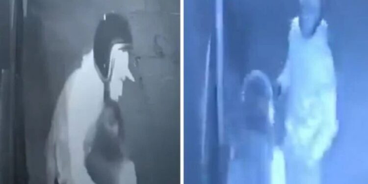 Detienen al presunto asaltante y agresor sexual de joven mujer