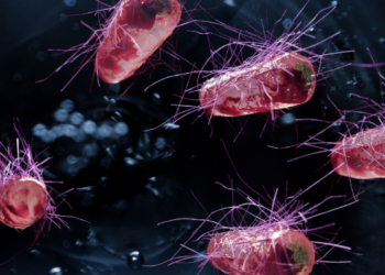 E.coli