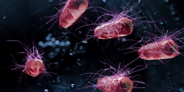 E.coli