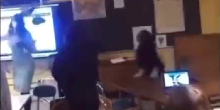 Estudiante de Míchigan es acusada de agresión por atacar a su profesora con una silla