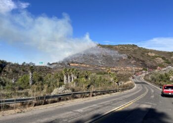 Incendio forestal en Rancho Bernardo provoca evacuaciones y cierre de carriles en la I-15