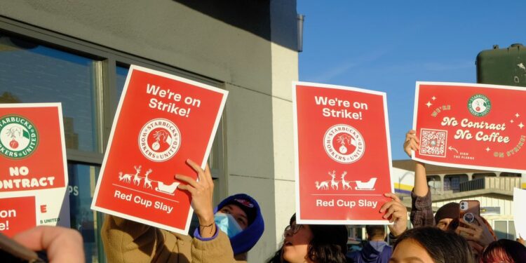 Red Cup Rebellion