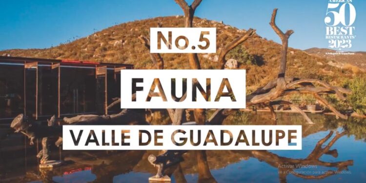 Mejor restaurante mexicano se encuentra en el Valle de Guadalupe
