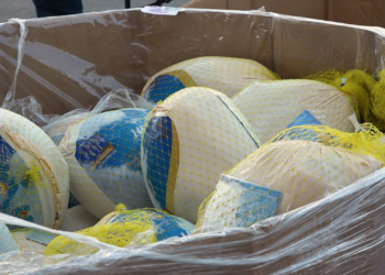 1000 familias de escasos recursos reciben cena de Acción de Gracias en National City