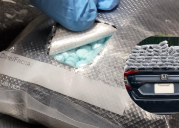 Agentes del CBP decomisaron más de 80 libras de Fentanilo