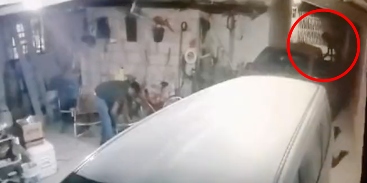Capturan en video a presunto nahual transformándose